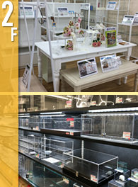 ストア・エキスプレス　東京本店 2F